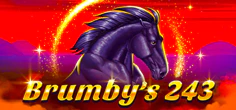 Brumby's 243