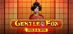 Gentle Fox Hold And Win