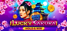 Lucky Sakura Hold And Win