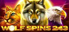 Wolf Spins 243