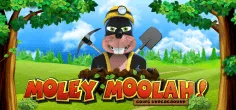 Moley Moolah
