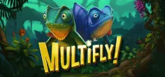 Multifly!
