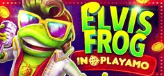 Elvis Frog In Playamo