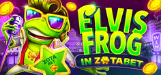 Elvis Frog in Zotabet