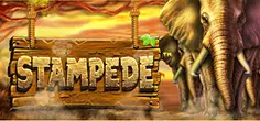 Stampede