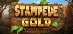 Stampede Gold