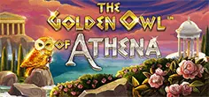 The Golden Owl of Athena