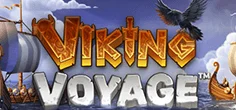 Viking Voyage