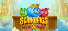Scandipigs