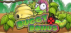 Buggy Bonus