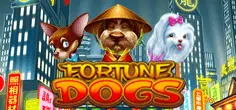 Fortune Dogs