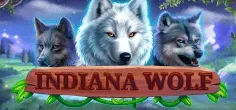 Indiana Wolf