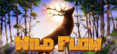 Wild Flow