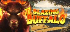 Blazing Buffalo