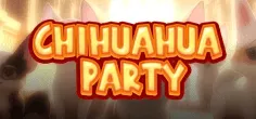 Chihuahua Party