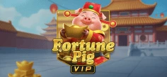 Fortune Pig VIP