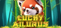 Lucky Ailurus