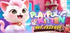Playful Kitten Buy Feature