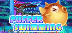 Puffer Swimming