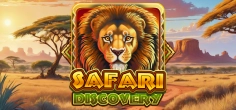 Safari Discovery