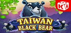 Taiwan Black Bear