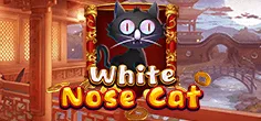 White Nose Cat