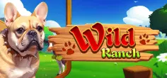 Wild Ranch
