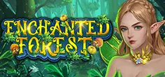 Enchanted Forest