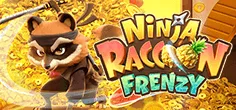 Ninja Raccoon Frenzy