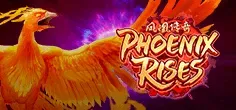 Phoenix Rises