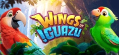 Wings of Iguazu