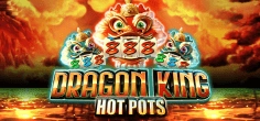 Dragon King Hot Pots