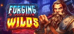 Forging Wilds
