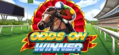Odds On Winner