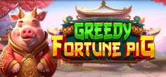 Greedy Fortune Pig
