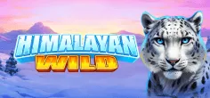 Himalayan Wild