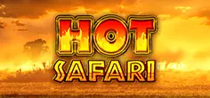 Hot Safari 50 000