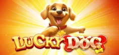Lucky Dog
