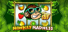 Monkey Madness