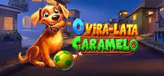 O vira-lata caramelo