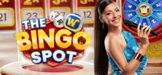 The Bingo Spot