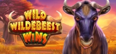 Wild Wildebeest Wins