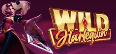 Slot Terfavorit quickspin