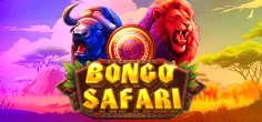 Bongo Safari