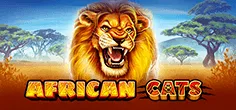 African Cats