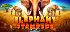 Elephant Stampede SE