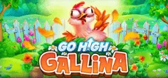 Go High Gallina