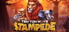Ten Ton Ways Stampede