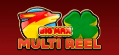 Big Max Multi Reel