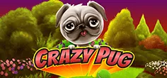 Crazy Pug